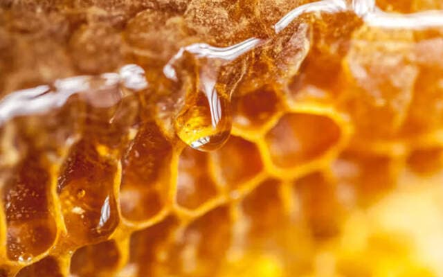 إنتاج العسل في سلطنة عُمان يفوق 930 ألف كيلوجرام خلال عام