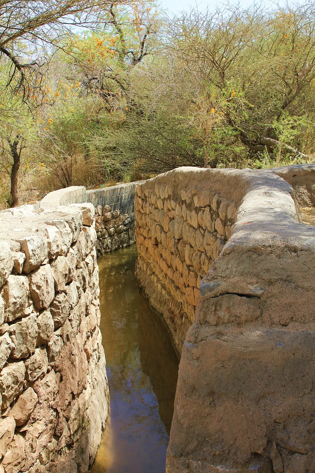الأفلاج
